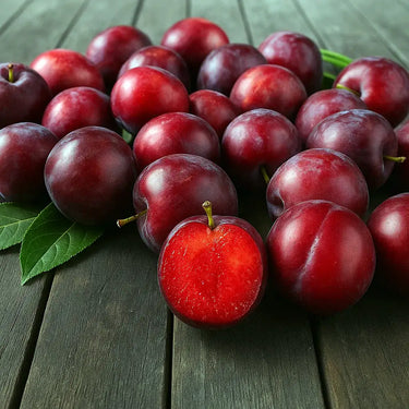 Burgundy Plum Tree Fruit on table sold by Paradise Nursery